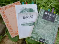 『ウォールデン』